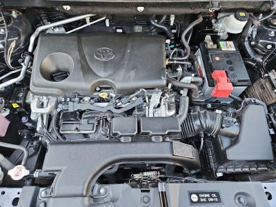 2019 Toyota RAV4 Limited FWD (Natl)