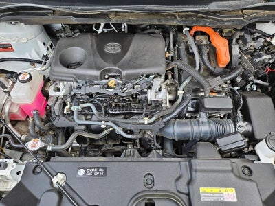 2021 Toyota Sienna XSE AWD 7-Passenger (Natl)