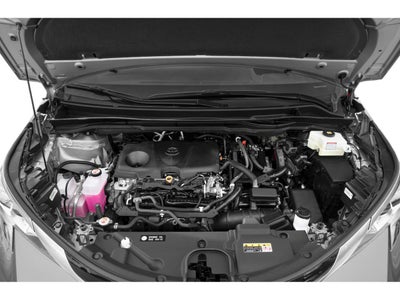 2023 Toyota Sienna Platinum FWD 7-Passenger (Natl)