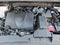 2019 Toyota Highlander XLE V6 FWD (Natl)