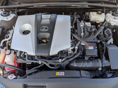2019 Lexus ES 300h Luxury FWD