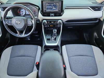 2019 Toyota RAV4 XLE AWD (Natl)