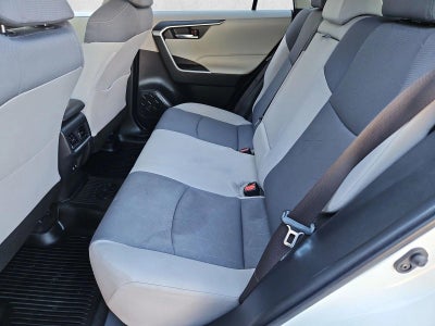2019 Toyota RAV4 XLE AWD (Natl)