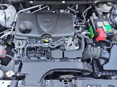 2019 Toyota RAV4 XLE AWD (Natl)