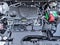 2019 Toyota RAV4 XLE AWD (Natl)