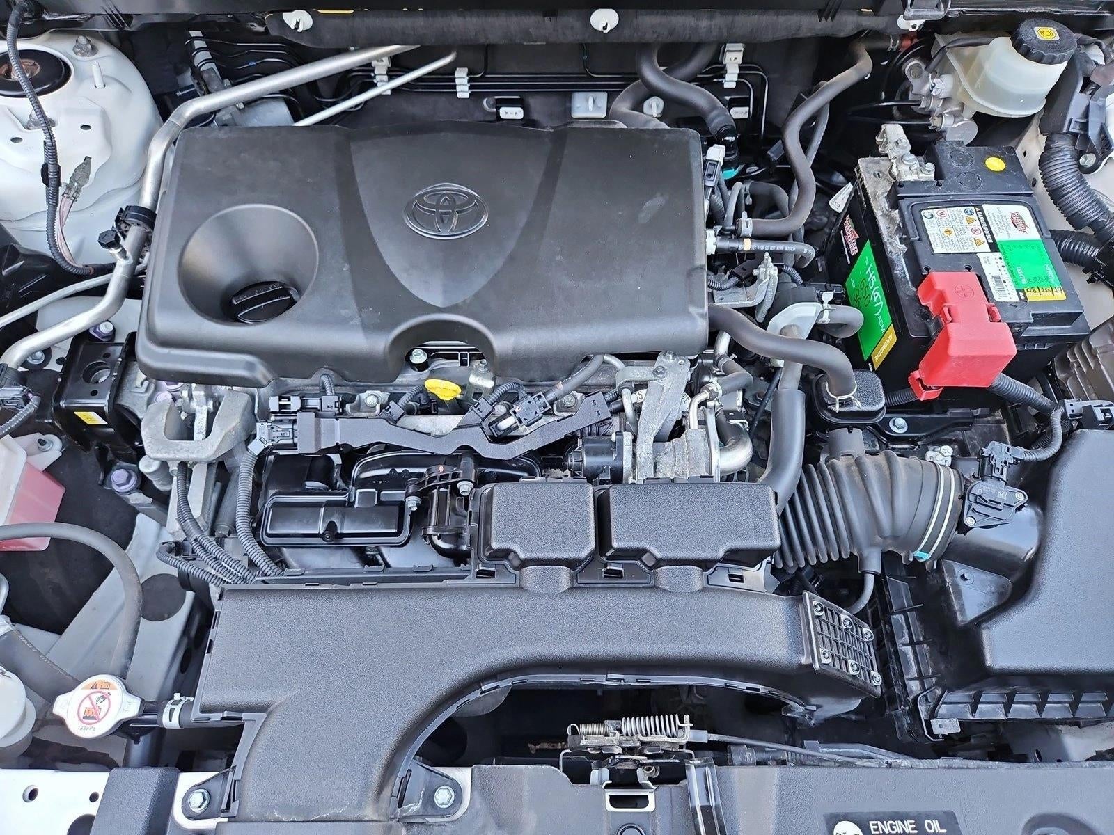 2019 Toyota RAV4 XLE AWD (Natl)